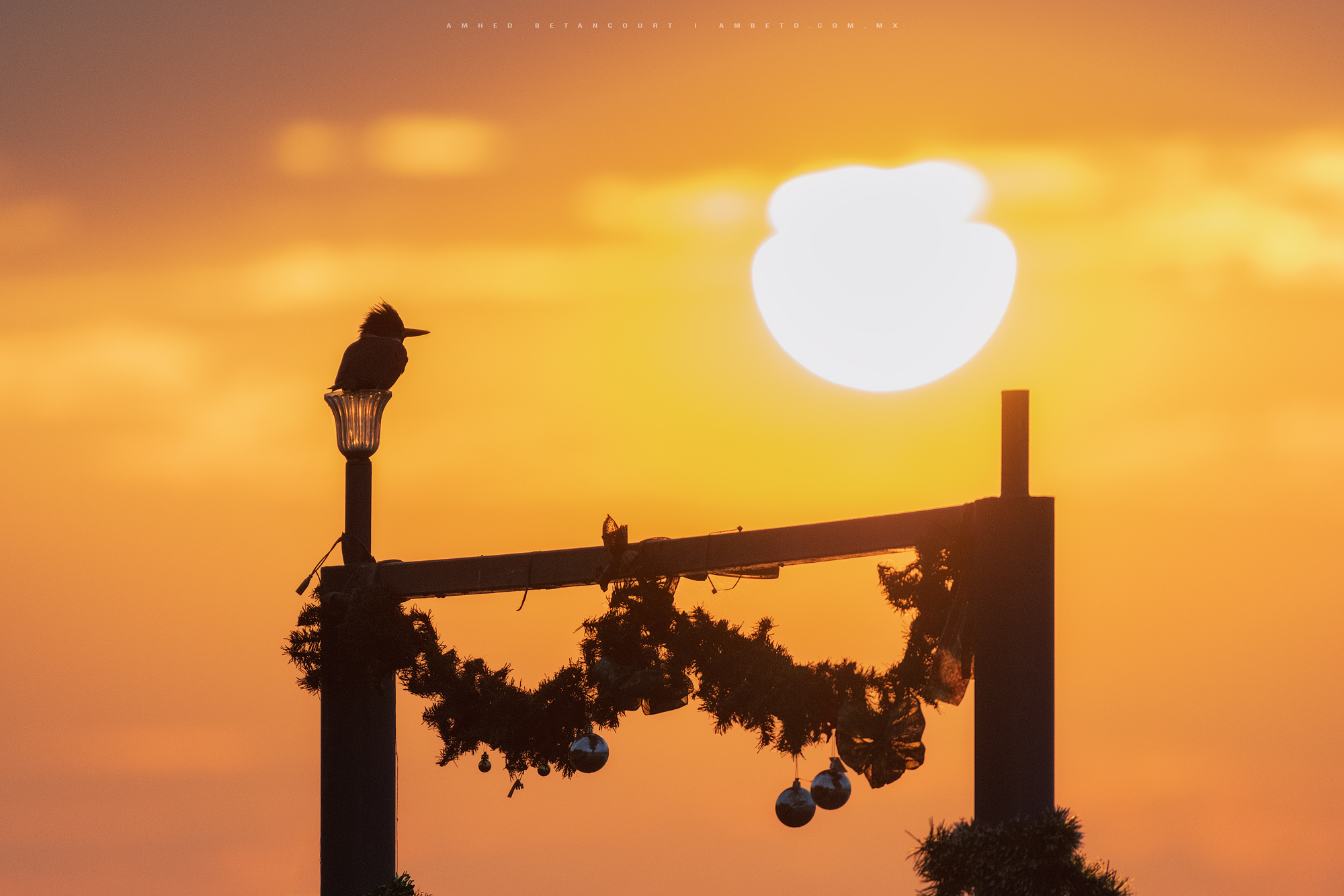 El amanecer no tiene prisa …